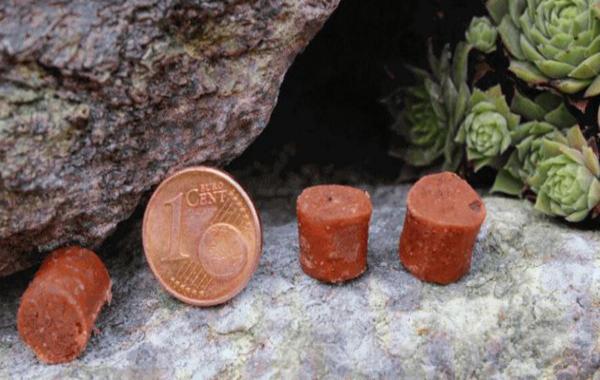 Mini Kartoffelhäppchen Lamm - 500g